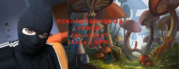 мяу мяу мука Кулебаки