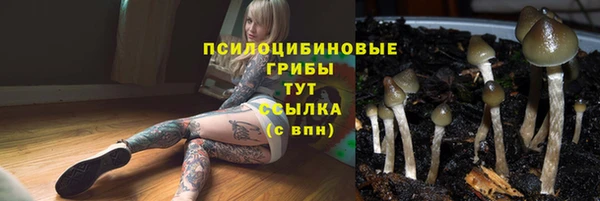 мяу мяу мука Кулебаки