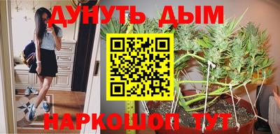 не бодяженный Сланцы