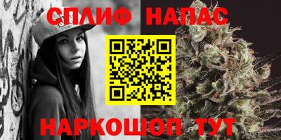 не бодяженный Сланцы