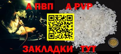 не бодяженный Сланцы
